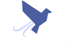 new-jav-net.adultproxy.net